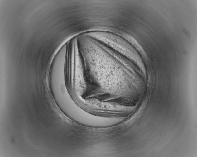 X0000112780908200909101610