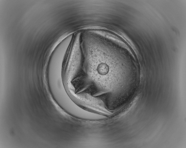 X0000112780909200909101610