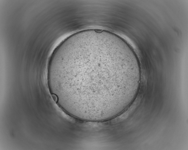 X0000112780910200909101610