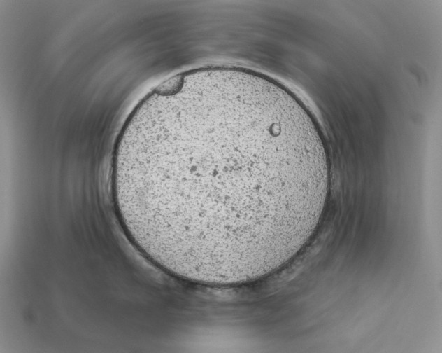 X0000112780911200909101610