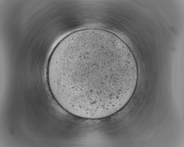 X0000112780912200909101610