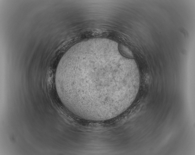 X0000112780914200909101609