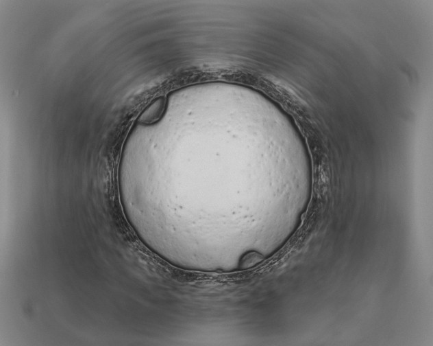 X0000112780917200909101609