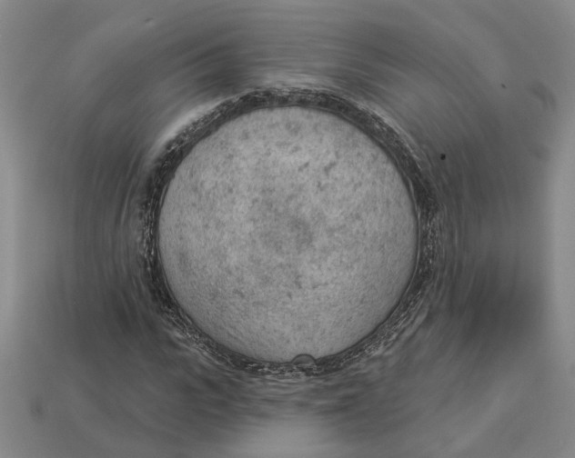 X0000112780919200909101609