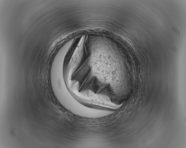 X0000112780920200909101609