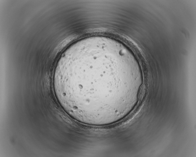 X0000112780921200909101609