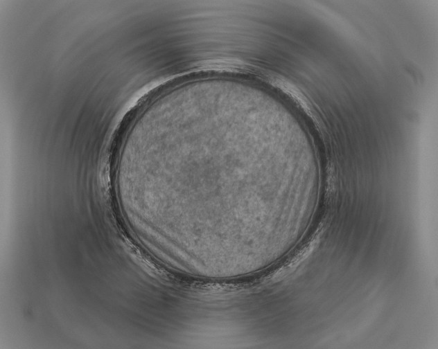 X0000112780923200909101609