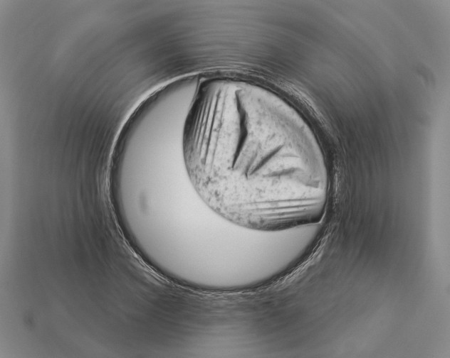 X0000112780924200909101609