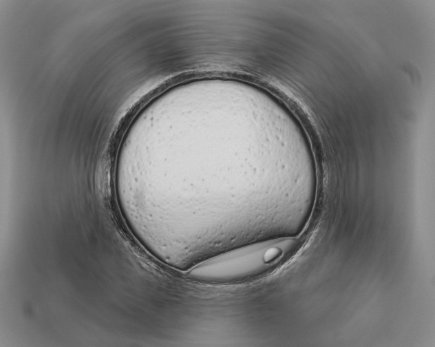 X0000112780925200909101609