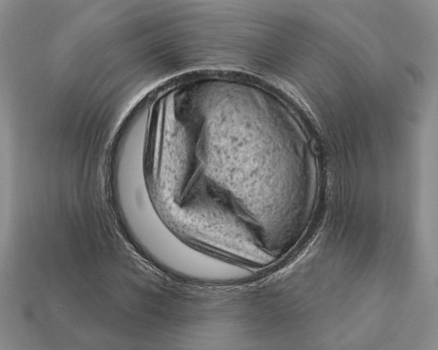 X0000112780926200909101609