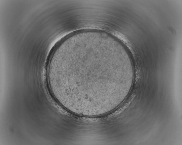 X0000112780928200909101609