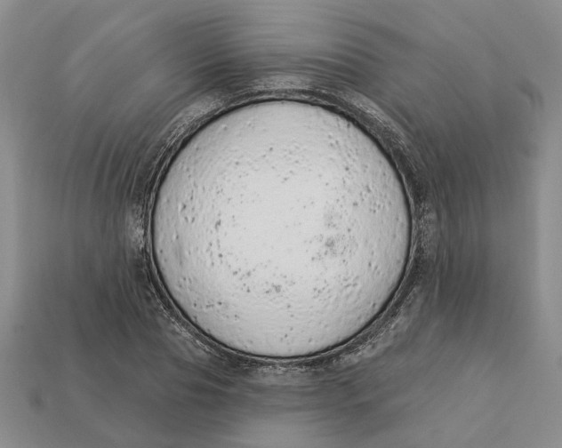 X0000112780929200909101609