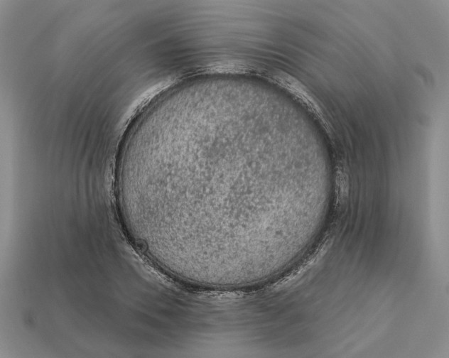 X0000112780930200909101609