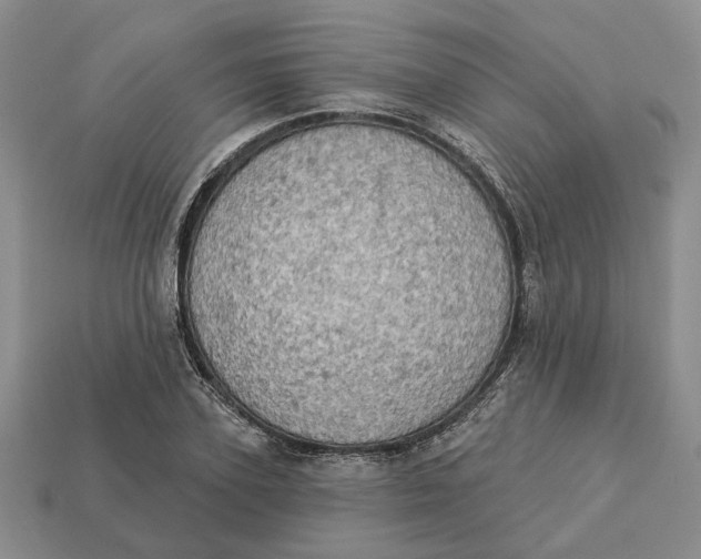 X0000112780931200909101609