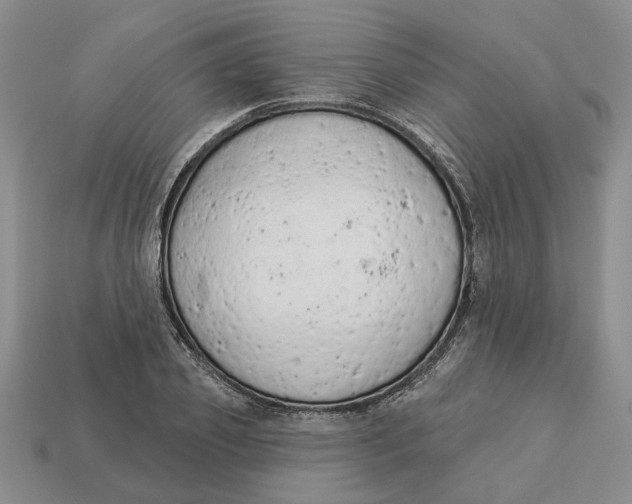 X0000112780933200909101609