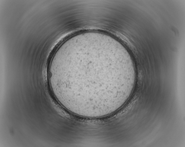 X0000112780934200909101609