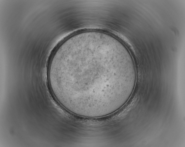 X0000112780935200909101609