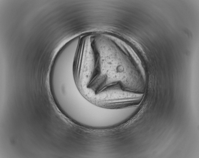 X0000112780936200909101609