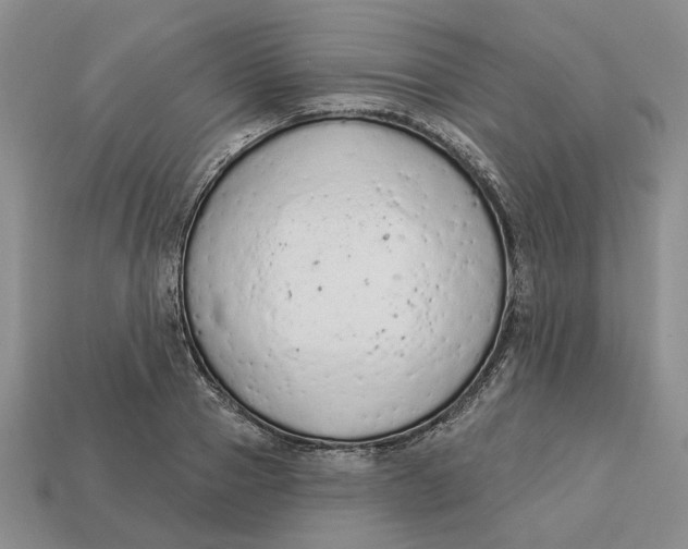 X0000112780937200909101609