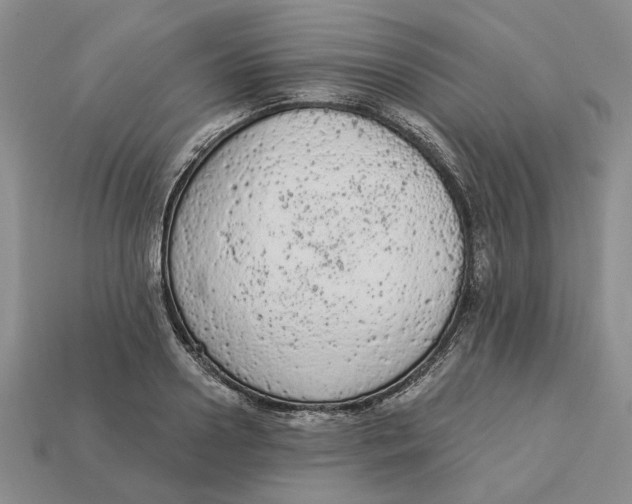 X0000112780938200909101609