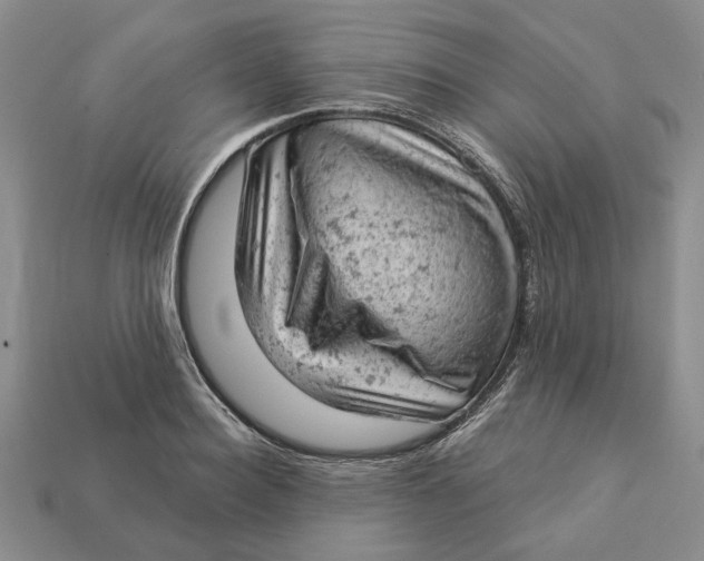 X0000112780940200909101609