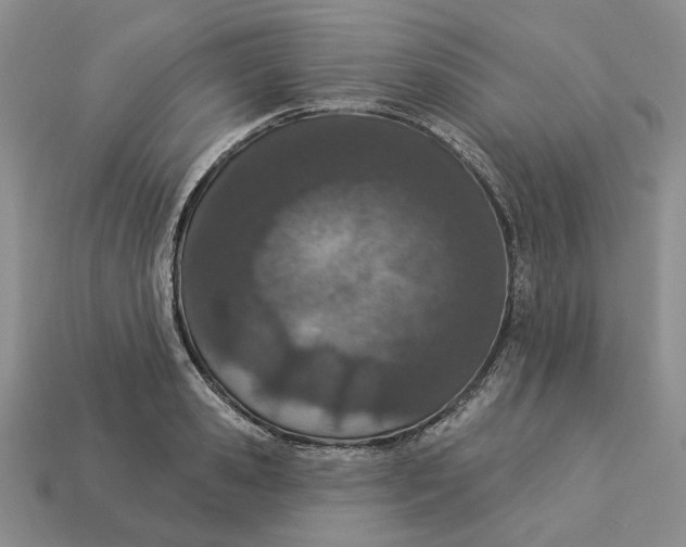 X0000112780941200909101609