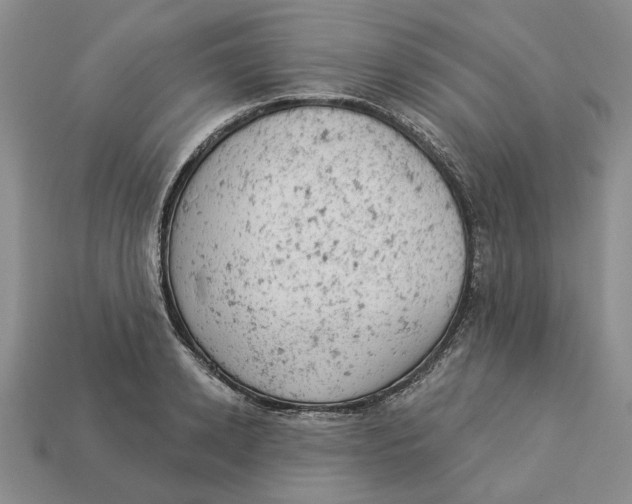 X0000112780942200909101609