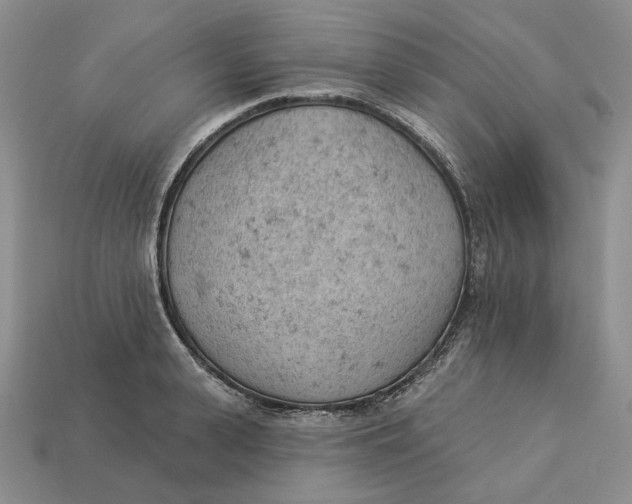 X0000112780943200909101609