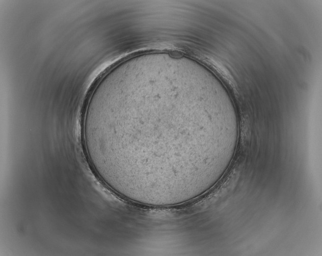 X0000112780944200909101609