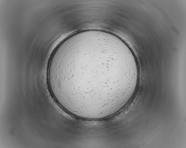 X0000112780949200909101609