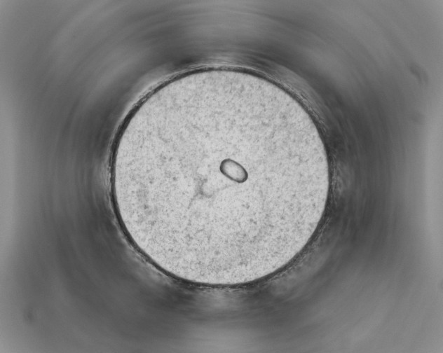 X0000112780950200909101609