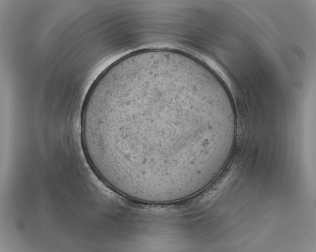 X0000112780951200909101609