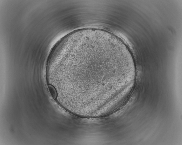 X0000112780952200909101609