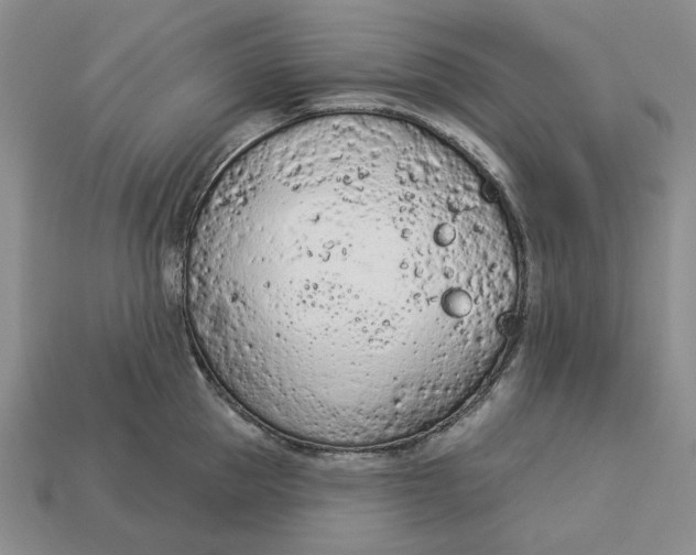 X0000112780953200909101609