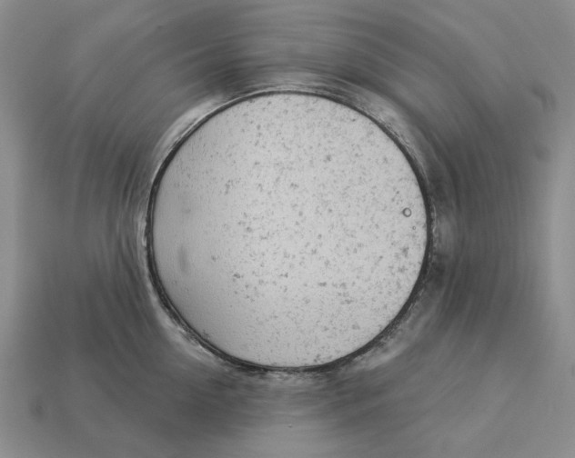 X0000112780954200909101609