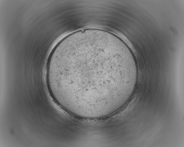 X0000112780955200909101610