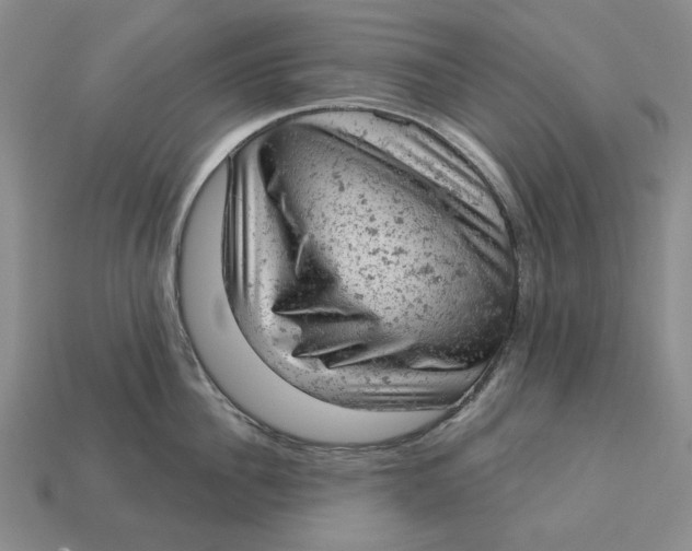 X0000112780956200909101610