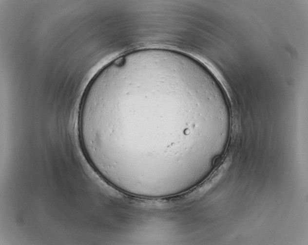 X0000112780957200909101610