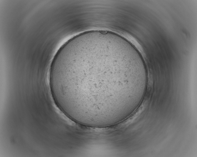 X0000112780958200909101610