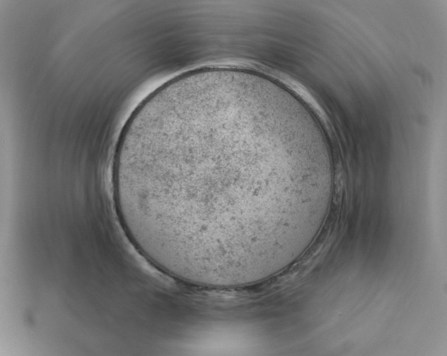 X0000112780959200909101610