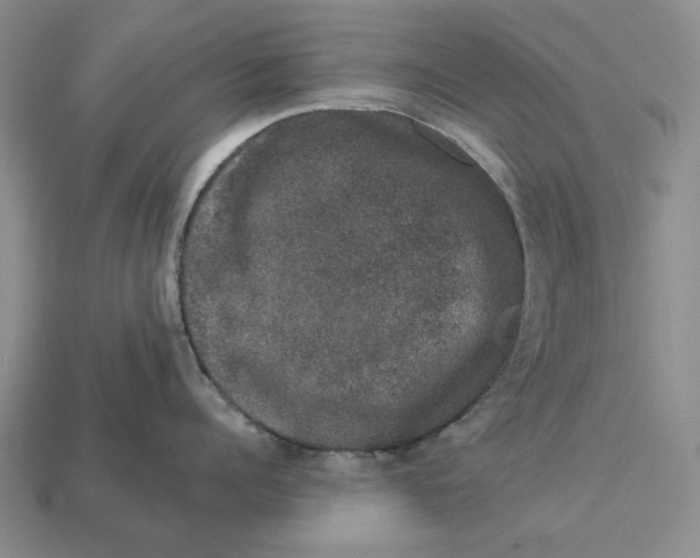 X0000112780960200909101610