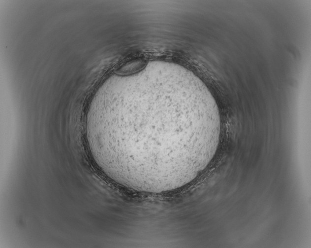 X0000112780961200909101609