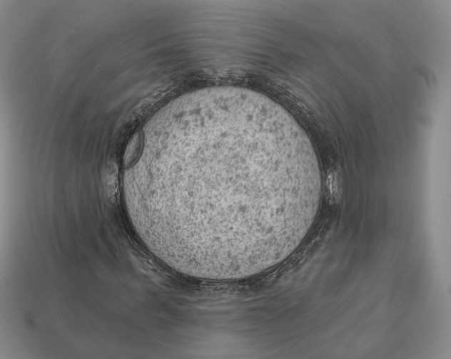 X0000112780963200909101609