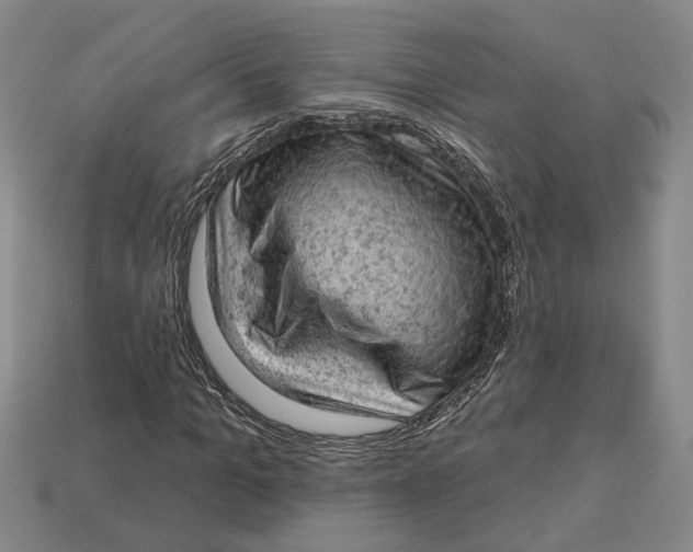 X0000112780965200909101609