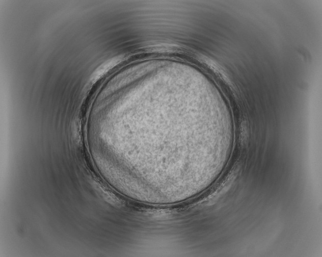 X0000112780970200909101609