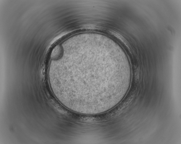 X0000112780971200909101609