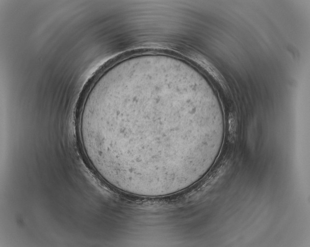 X0000112780972200909101609