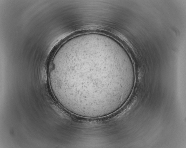 X0000112780973200909101609