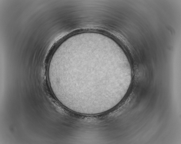 X0000112780974200909101609