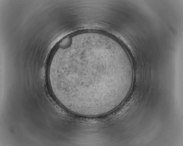 X0000112780975200909101609